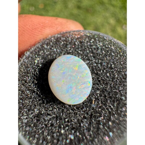 Australian Opal Cabochon - 0.87 carat in Display Box #141 - Picture 3 of 7
